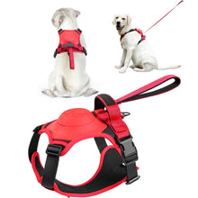 Load image into Gallery viewer, All-in-One Dog Harness and Retractable Leash Set