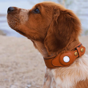 Leather Airtag Collar