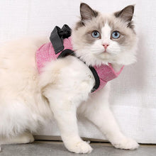 Load image into Gallery viewer, Cat Vest Harness and Leash