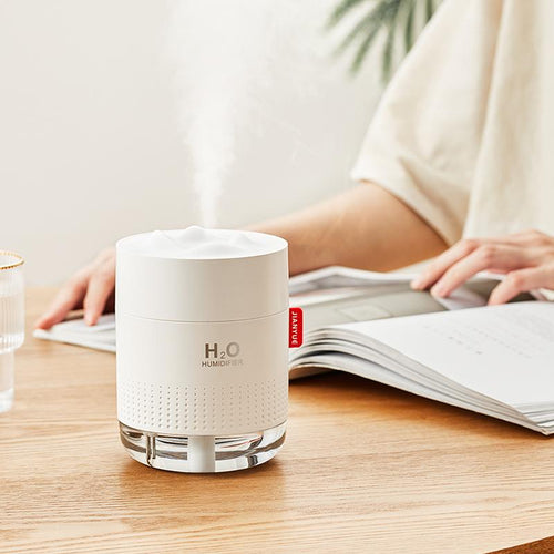 Mist Humidifier with Night Light