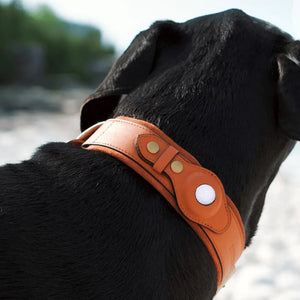 Leather Airtag Collar