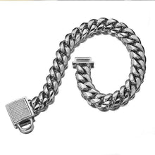 Load image into Gallery viewer, Zirconia Lock Buckle Dogs Chain Necklace