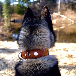 Leather Airtag Collar