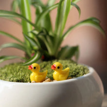 Load image into Gallery viewer, 🦆Tiny Ducks | Challenge Hiding Ducks(50 PCS)