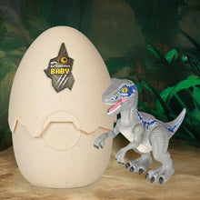 Load image into Gallery viewer, Hatching Egg Dinosaur Toy