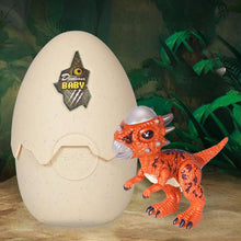 Load image into Gallery viewer, Hatching Egg Dinosaur Toy