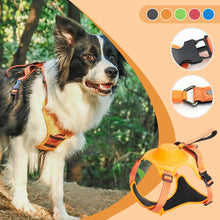 Load image into Gallery viewer, All-in-One Dog Harness and Retractable Leash Set