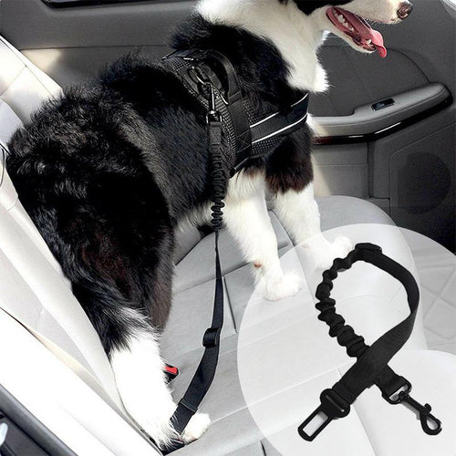 Adjustable Seat Belts for Dogs