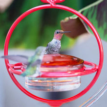 Load image into Gallery viewer, Hummble Slim Hummingbird Feeder