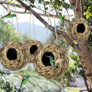 Hummingbird Nest House