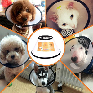 E-Collar for pets (8 sizes optional)