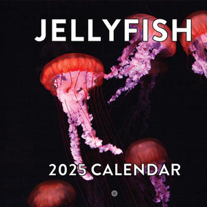 2025 Jellyfish Calendar