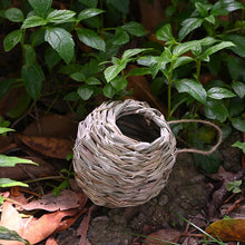 Load image into Gallery viewer, Hummingbird Nest House