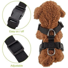 Load image into Gallery viewer, Dog Safety Harness Set