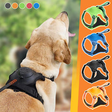 Load image into Gallery viewer, All-in-One Dog Harness and Retractable Leash Set