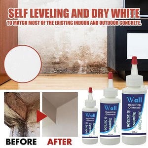 Wall Repairing Ointment