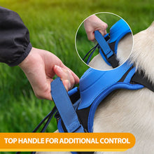 Load image into Gallery viewer, All-in-One Dog Harness and Retractable Leash Set