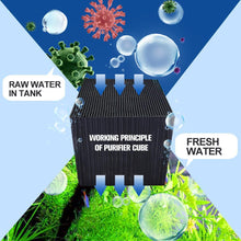 Load image into Gallery viewer, Eco-Aquarium Water Purifier Cube