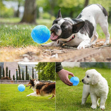 Load image into Gallery viewer, Hirundo® Magic Ball for Dogs