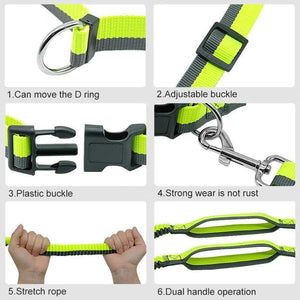 Handsfree Elastic Bungee Dog Leash