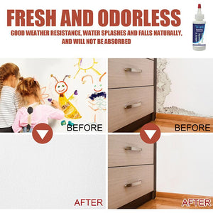 Wall Repairing Ointment