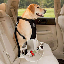 Load image into Gallery viewer, Dog Safety Harness Set