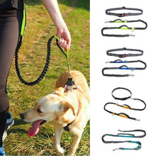 Load image into Gallery viewer, Handsfree Elastic Bungee Dog Leash