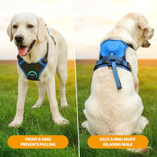 Load image into Gallery viewer, All-in-One Dog Harness and Retractable Leash Set