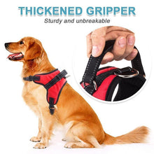 Load image into Gallery viewer, Hirundo® No-Pull Dog Harness, Adjustable Harness for Dogs