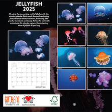 Load image into Gallery viewer, 2025 Jellyfish Calendar