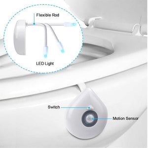 LED Induction Toilet Night Light