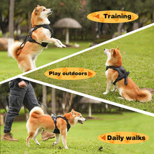 Load image into Gallery viewer, All-in-One Dog Harness and Retractable Leash Set