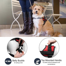 Load image into Gallery viewer, Reflective all-in-one No Pull Dog Harness