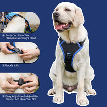 Load image into Gallery viewer, All-in-One Dog Harness and Retractable Leash Set