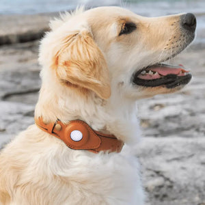 Leather Airtag Collar