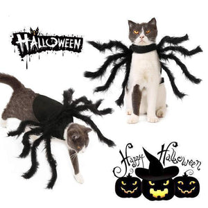 Spider Costume for Pets