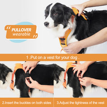 Load image into Gallery viewer, All-in-One Dog Harness and Retractable Leash Set