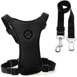 Dog Safety Harness Set