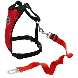 Dog Safety Harness Set