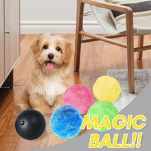 Load image into Gallery viewer, Hirundo® Magic Ball for Dogs