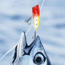 Load image into Gallery viewer, Presale&gt;&gt;24 Days Christmas Countdown Fish Tackle Set