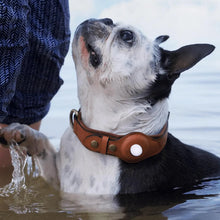 Load image into Gallery viewer, Leather Airtag Collar