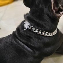 Load image into Gallery viewer, Zirconia Lock Buckle Dogs Chain Necklace