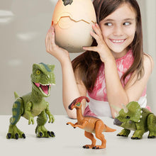 Load image into Gallery viewer, Hatching Egg Dinosaur Toy