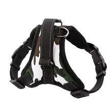 Load image into Gallery viewer, Hirundo® No-Pull Dog Harness, Adjustable Harness for Dogs