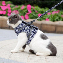 Load image into Gallery viewer, Cat Vest Harness and Leash Set to Outdoor Walking