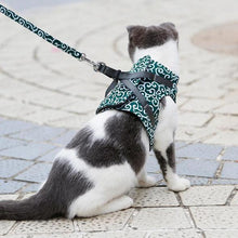 Load image into Gallery viewer, Cat Vest Harness and Leash Set to Outdoor Walking