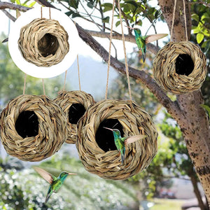 Hummingbird Nest House