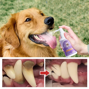 Teeth Cleaning Spray for Dogs & Cats