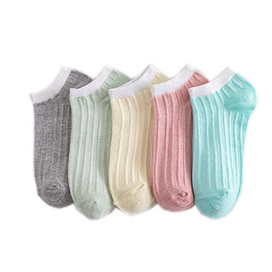 Fresh Stripe Socks(5 PAIRS)